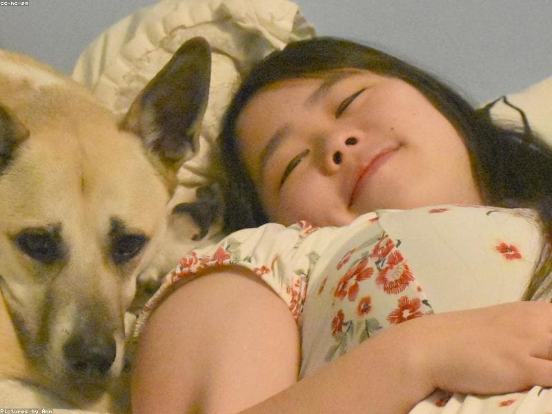 Cama ortopédica Molly Mutt talla L