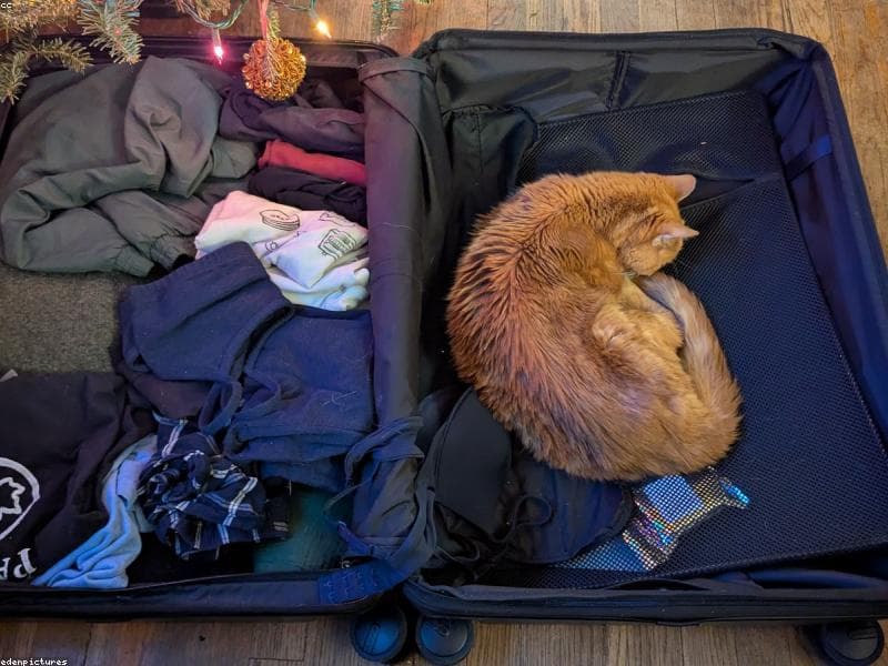 Maleta Rimowa Essential 26 Schwarz